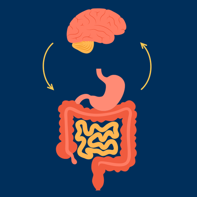 GUT BRAIN GUT BRAIN