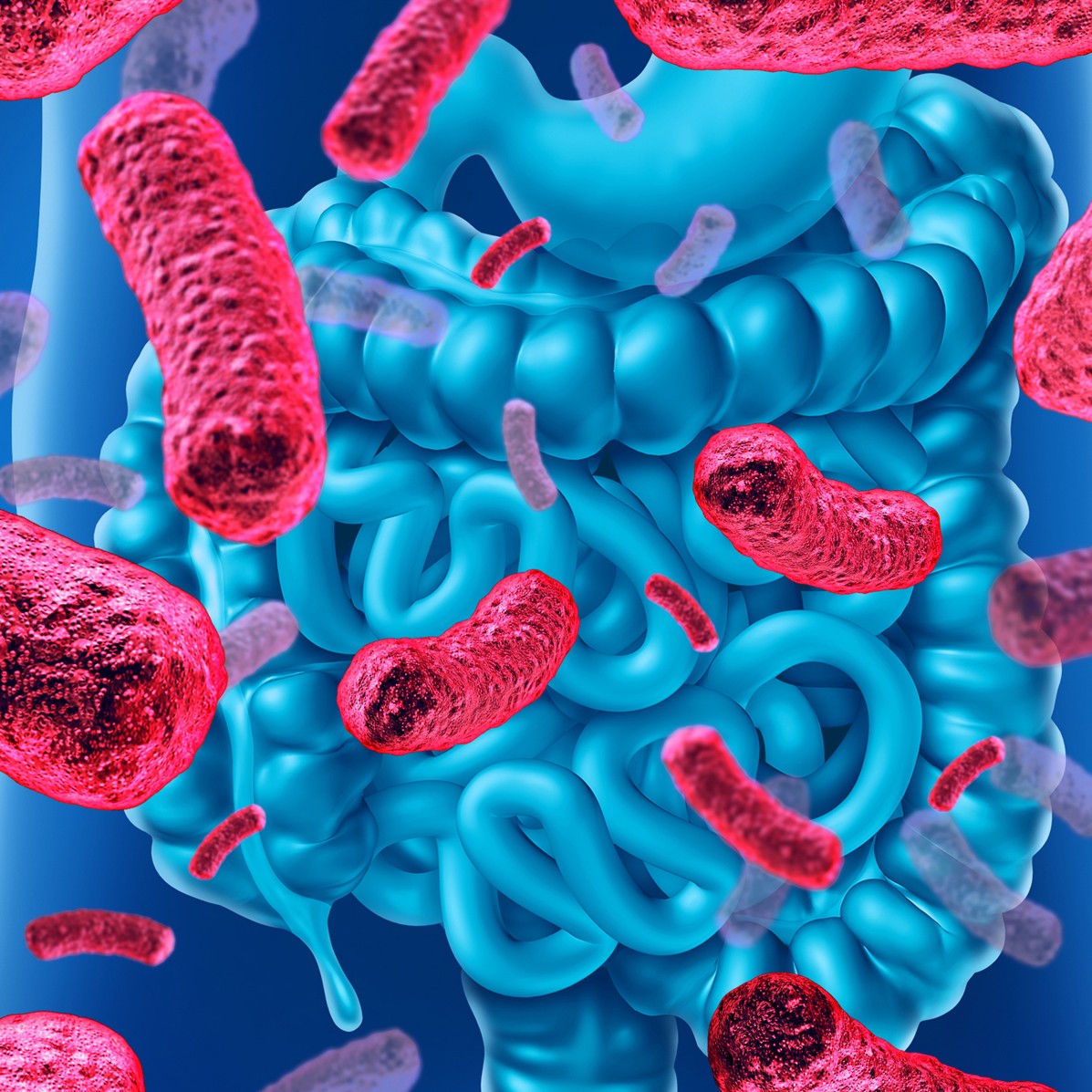 MICROBIOTA MICROBIOTA