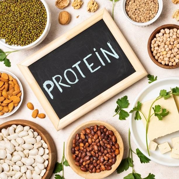 The Future of Protein